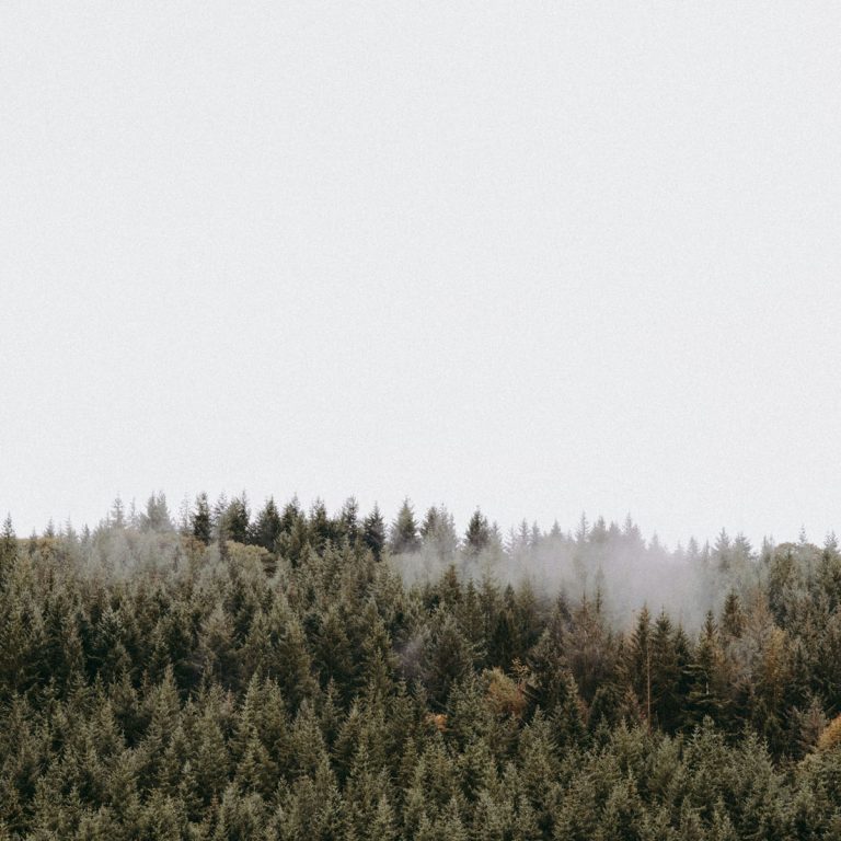 Saying No (Without Burning Bridges)